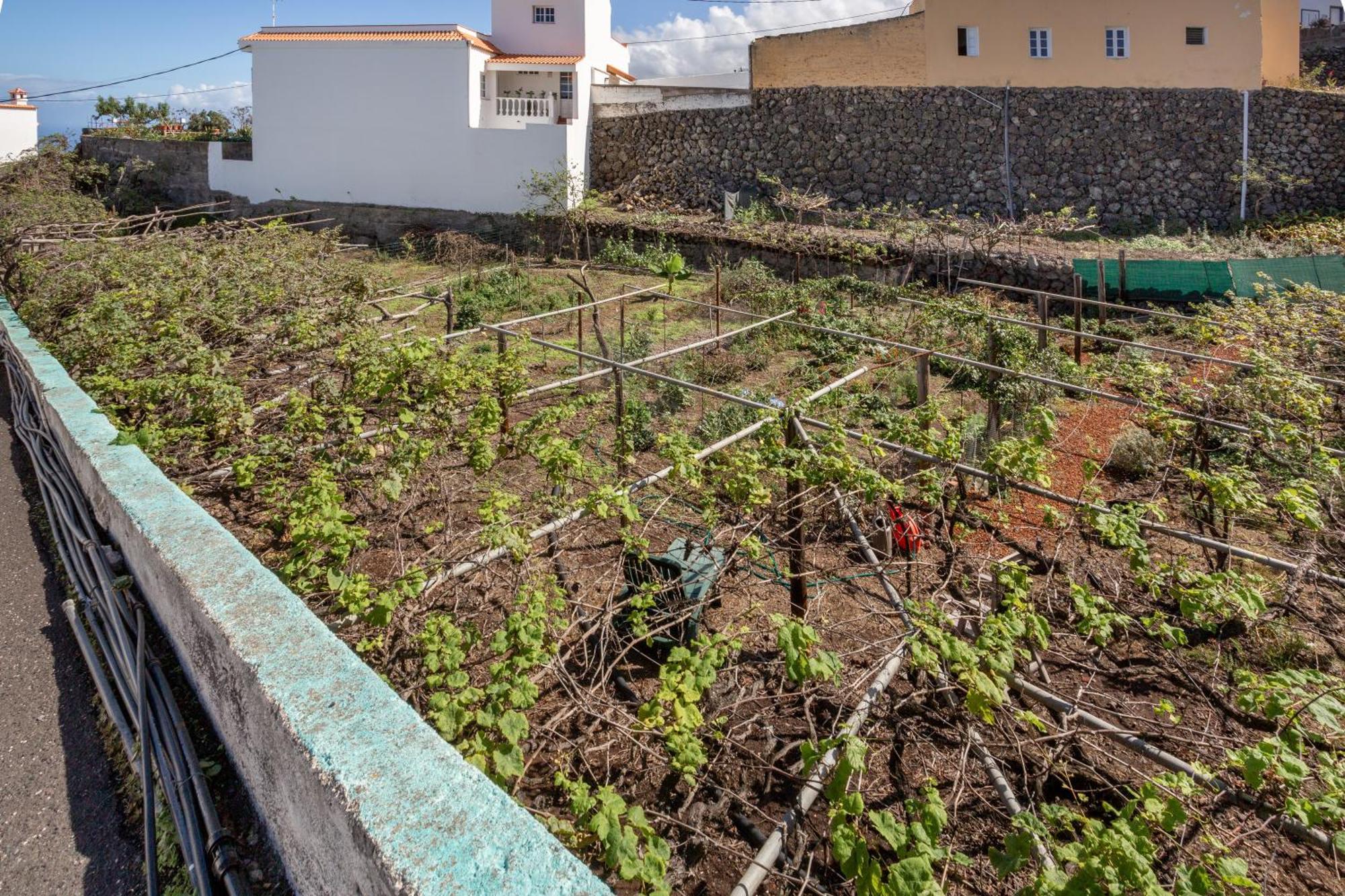 Genovés Un Jardin Al Mar酒店 外观 照片